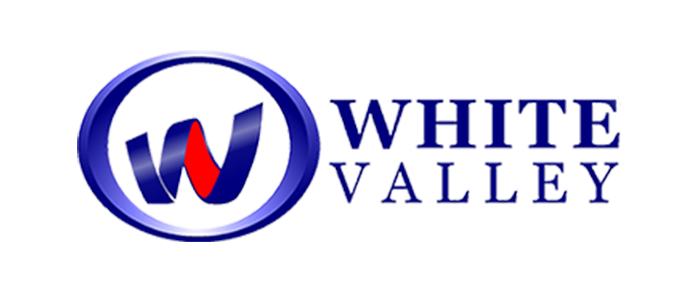 Fine Shine Mobile Wash Logo for White Valley, featuring a stylized blue and red "W" inside a blue circle, with the text "WHITE VALLEY" in blue capital letters to the right.